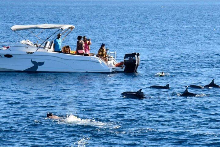 Excursion Exclusive en Speed Boat – Émotions et Îles Célestes de la Mer Rouge