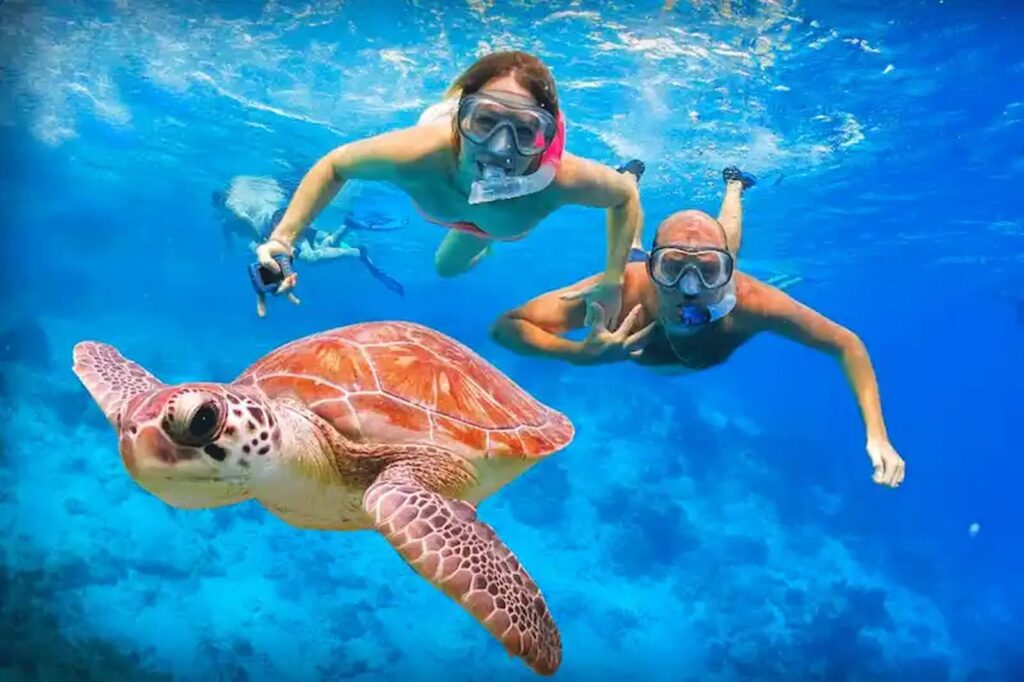 Nager avec les Tortues à Abu Dabbab – Réserve Naturelle de Marsa Alam