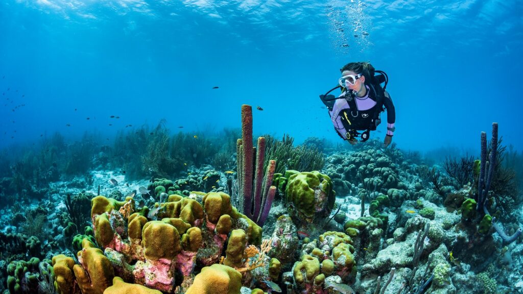 Journée Évasion Snorkeling : La Baie Préservée de Sharm El Naga depuis Hurghada