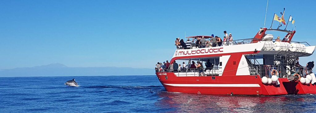 Croisière VIP en Bateau Privé – Snorkeling Exclusif depuis Makadi Bay et Sahl Hasheesh